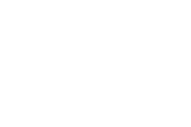 V8 THUNDER CARS